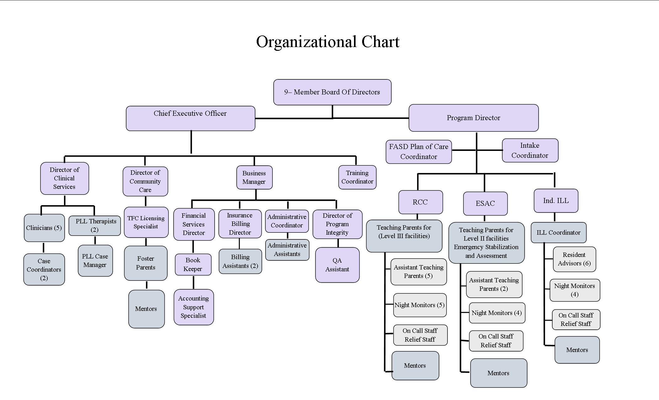 She Organization Chart
