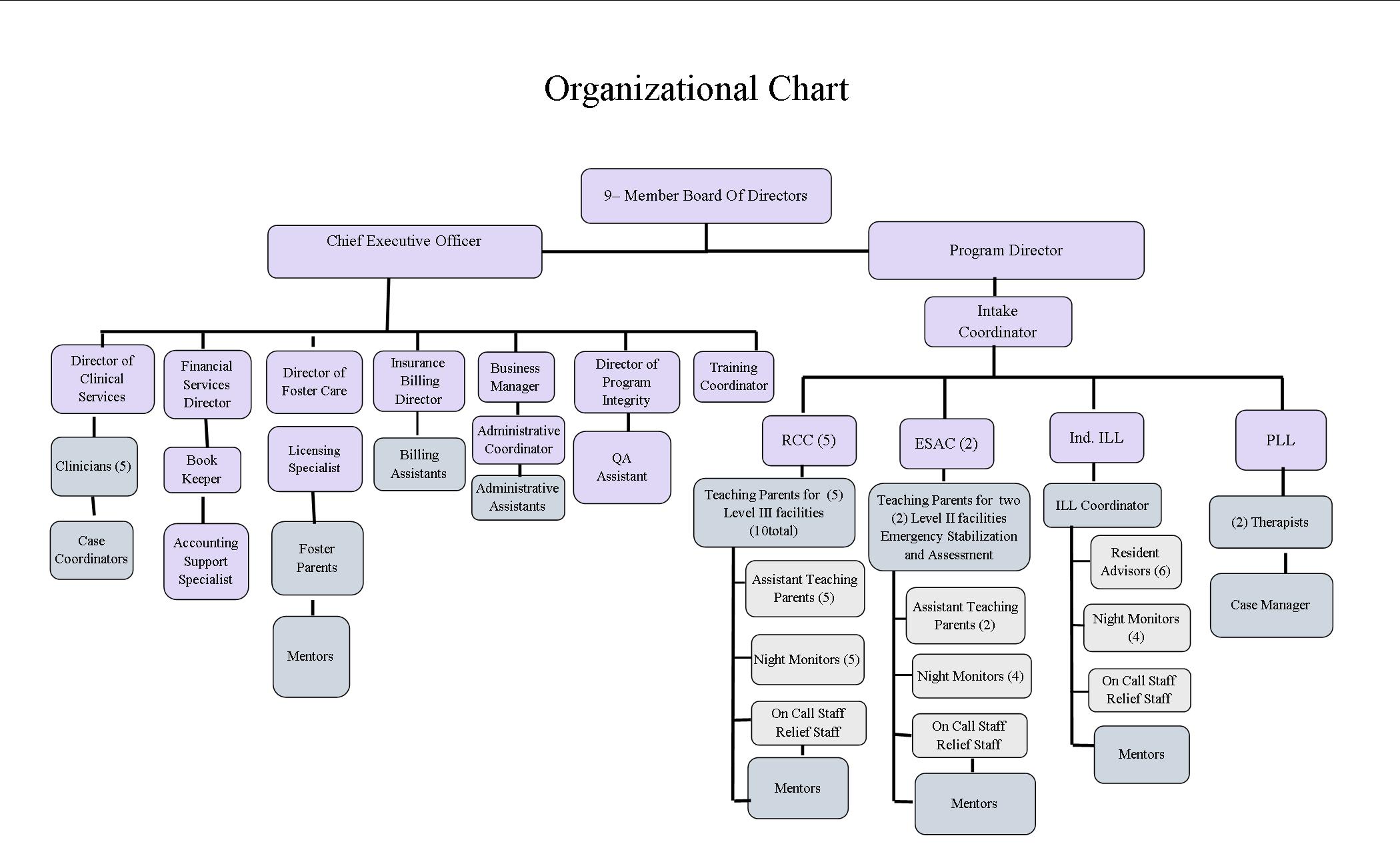 Организационная структура АО Мерседес-Бенц